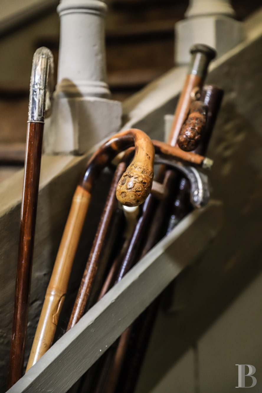 Dans les Deux-Sèvres, à Saint-Jean-de-Thouars, une maison de famille du 19e siècle bordée d’un parc - photo  n°20